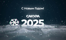С Новым 2025 Годом!